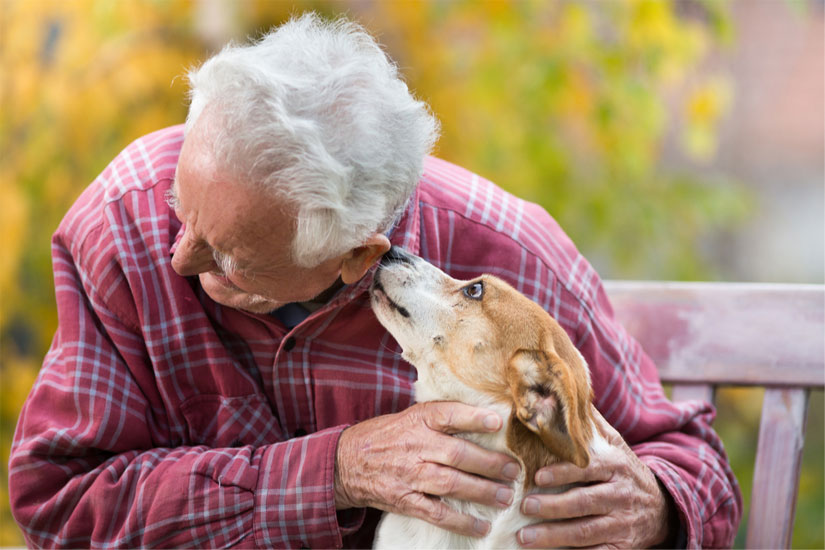 The Top Benefits of Pet Therapy for Seniors